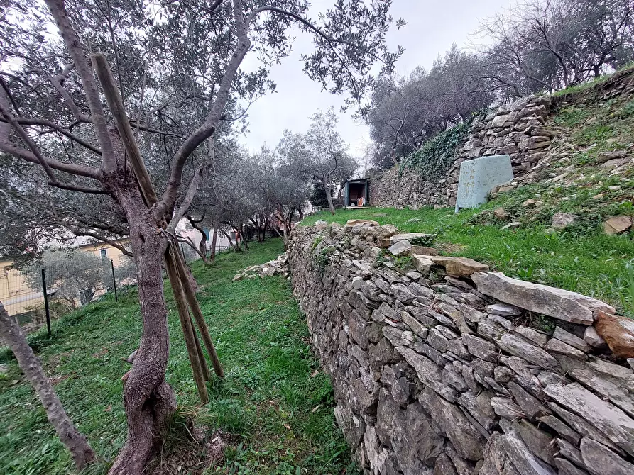 Immagine 30 di Trilocale in vendita  in Via San Pantaleo a Genova