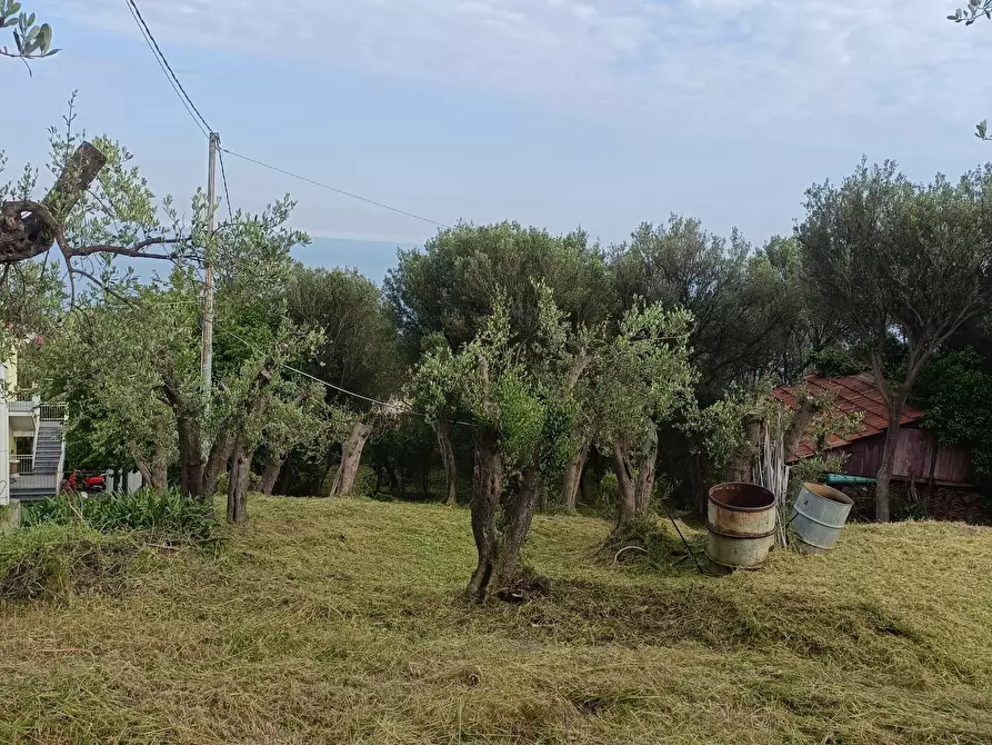 Immagine 8 di Terreno edificabile in vendita  in Via Nuova Cantalupo snc a Varazze