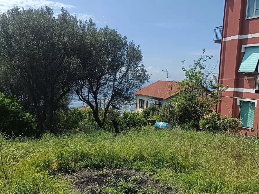 Immagine 10 di Terreno edificabile in vendita  in Via Nuova Cantalupo snc a Varazze