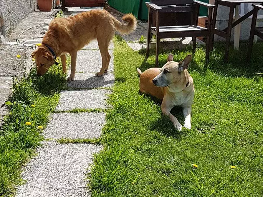 Immagine 26 di Trilocale in vendita  in Via Lanfranco Alberico 44 a Genova