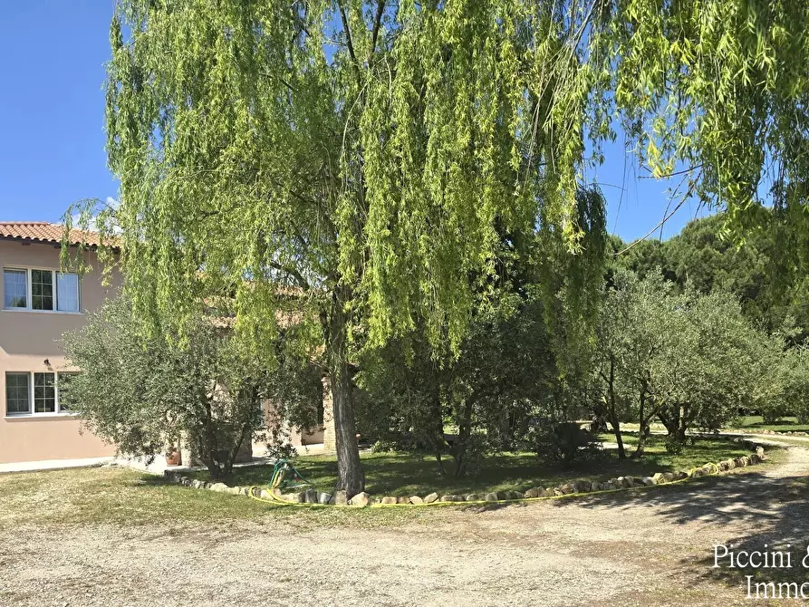 Immagine 82 di Villa in vendita  in Località Castagni 2 a Castiglione Del Lago