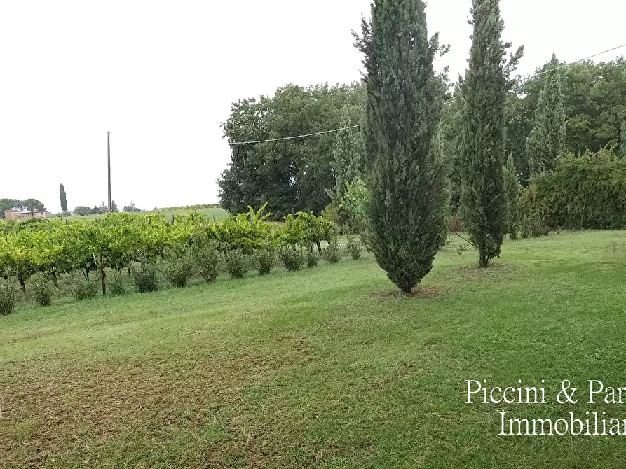 Immagine 9 di Azienda agricola in vendita  in Via Soccorso a Castiglione Del Lago
