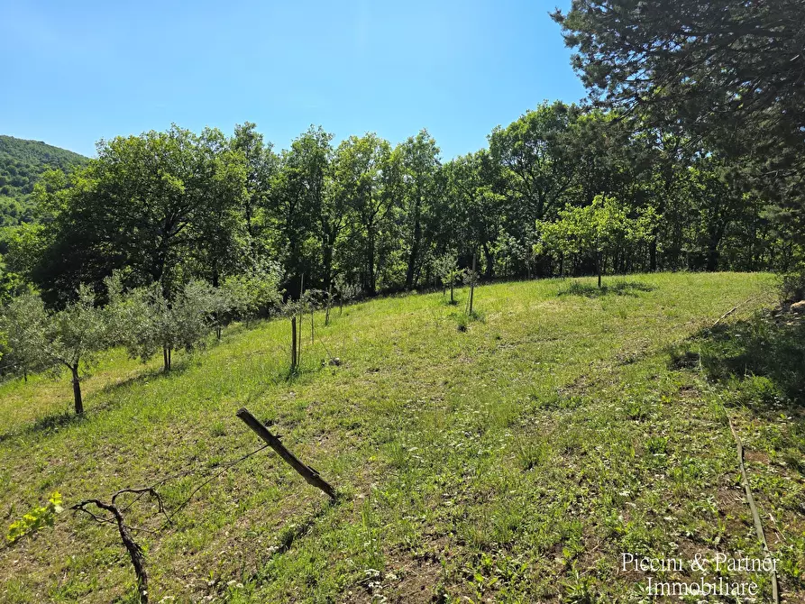 Immagine 80 di Rustico / casale in vendita  in Migianella a Umbertide