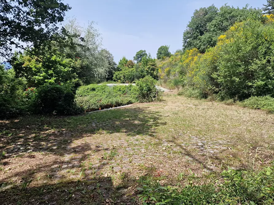 Immagine 62 di Villa in vendita  in Via dei Cespugli 12 a Passignano Sul Trasimeno