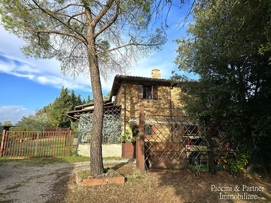 Immagine 79 di Rustico / casale in vendita  in Vocabolo Coccimignolo 36 a Marsciano