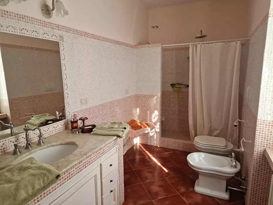 Immagine 28 di Rustico / casale in vendita  in Via del Conventaccio a Ficulle