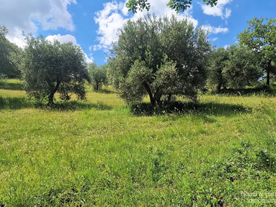Immagine 58 di Porzione di casa in vendita  in Strada Ponte Rio Ponte Pattoli a Perugia