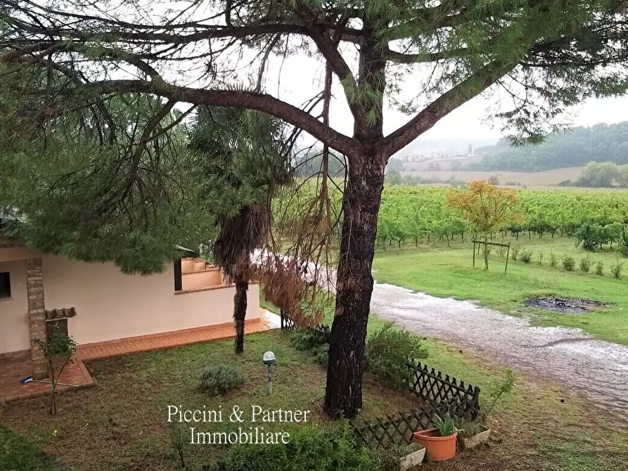 Immagine 7 di Rustico / casale in vendita  in Località Croce 68 a Castiglione Del Lago