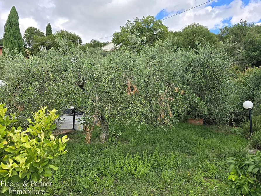 Immagine 76 di Villa in vendita  in Via dei Romani a Magione