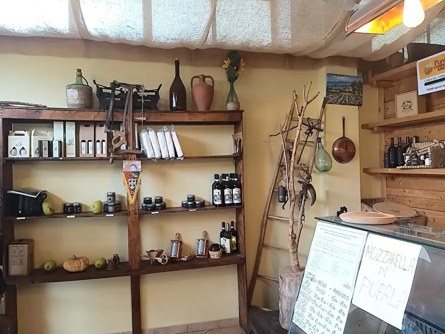 Immagine 4 di Attività commerciale in vendita  in Strada per Chianciano 3 a Montepulciano