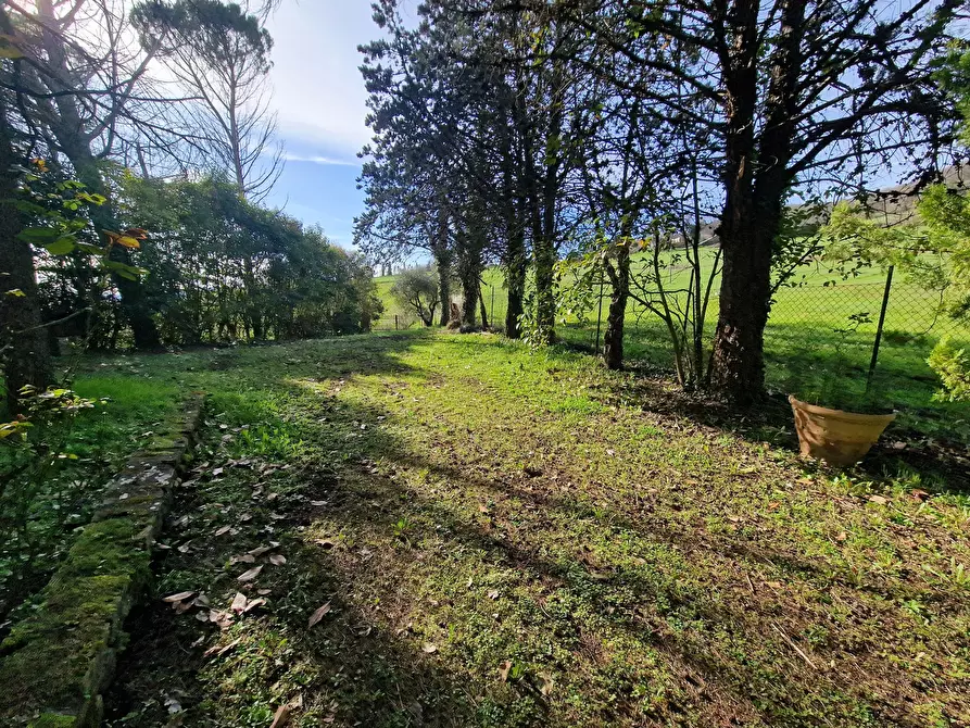 Immagine 63 di Porzione di casa in vendita  in Frazione Niccone a Umbertide
