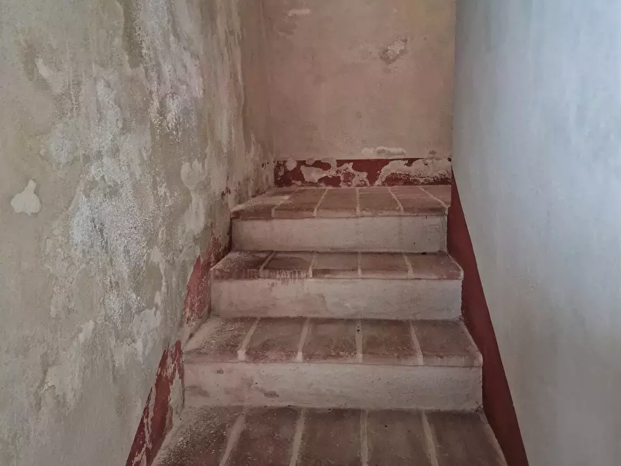 Immagine 23 di Rustico / casale in vendita  in 33CF+W9 Castiglione del Lago PG, Italia a Castiglione Del Lago