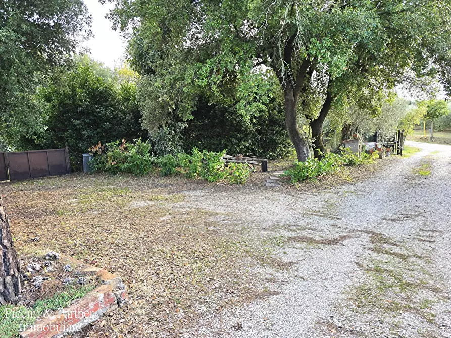 Immagine 2 di Rustico / casale in vendita  in Vocabolo Coccimignolo 36 a Marsciano