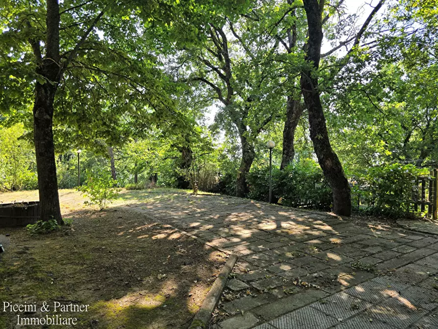 Immagine 6 di Baita in vendita  in Via dei Cespugli 10 a Passignano Sul Trasimeno