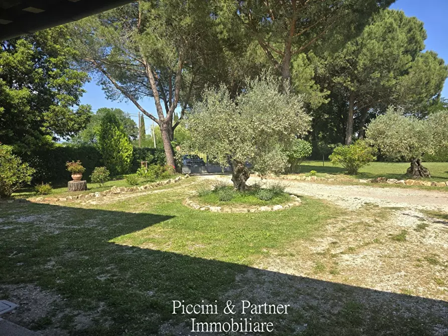 Immagine 3 di Villa in vendita  in Località Castagni 2 a Castiglione Del Lago