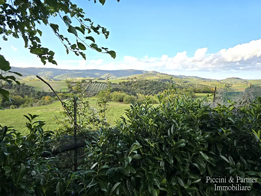 Immagine 46 di Rustico / casale in vendita  in Vocabolo Coccimignolo 36 a Marsciano