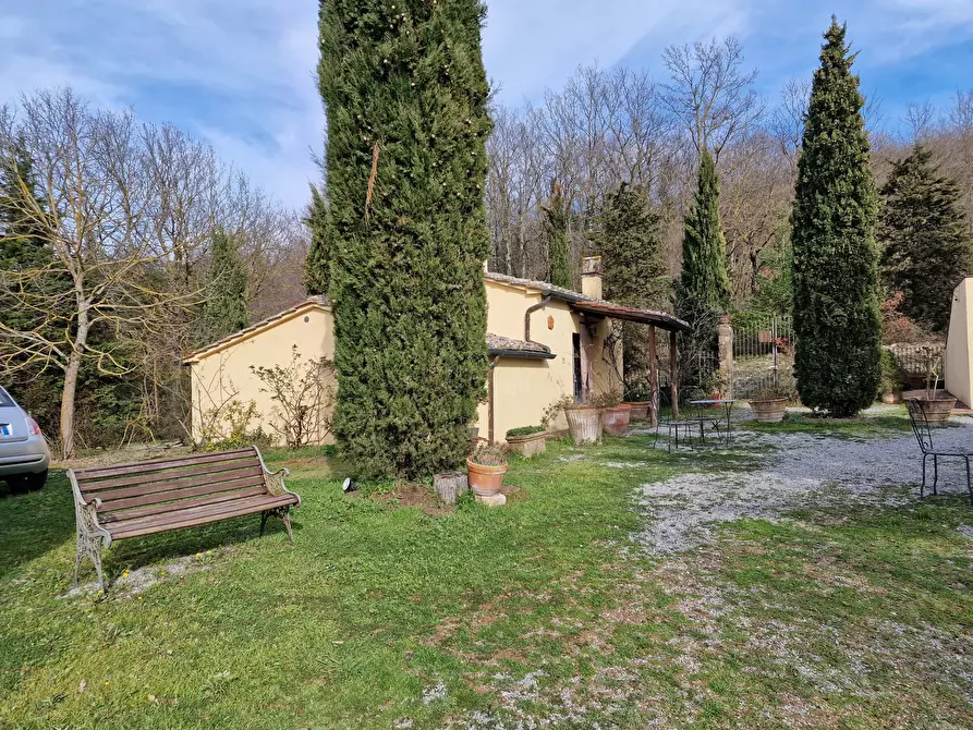 Immagine 47 di Rustico / casale in vendita  in Strada Provinciale della Montagna di Cetona a Sarteano