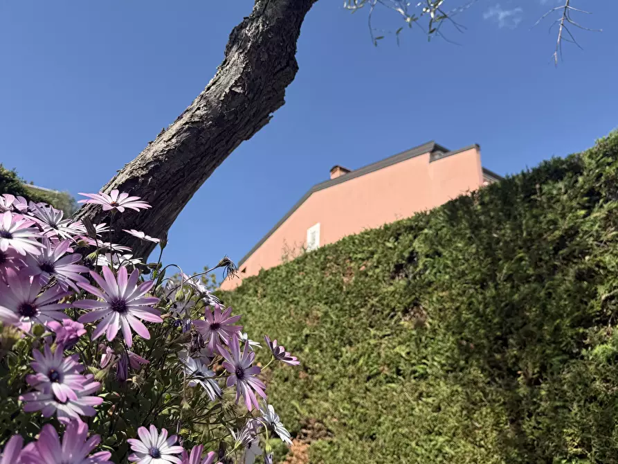 Immagine 20 di Bilocale in vendita  in Gli Olivi 4c a Diano Arentino