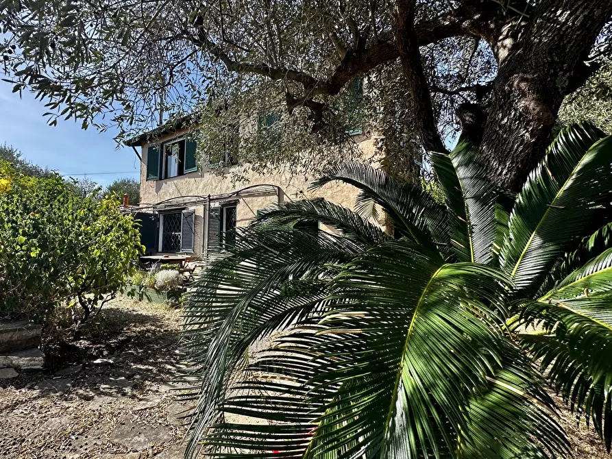 Immagine 1 di Rustico / casale in vendita  in Via Madonna Della Neve a Diano Castello