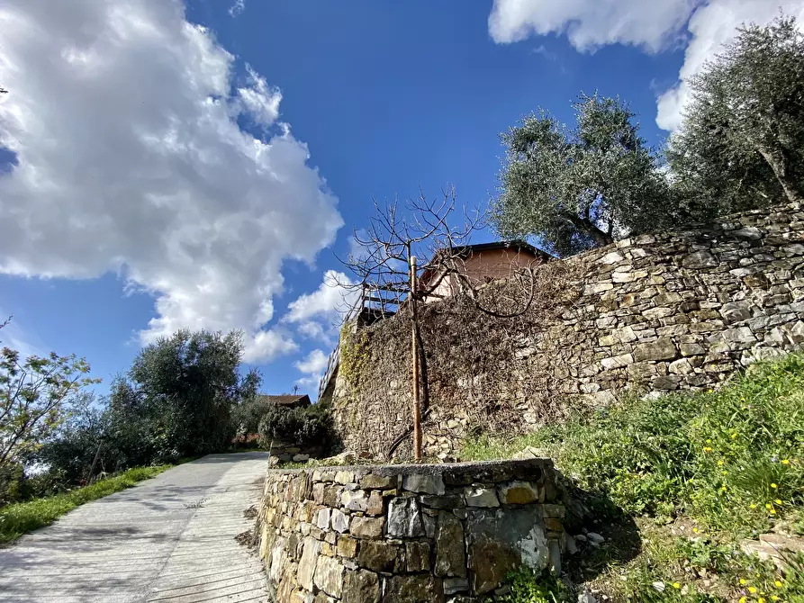 Immagine 2 di Villa in vendita  in Via F. Cascione 31 a Villa Faraldi