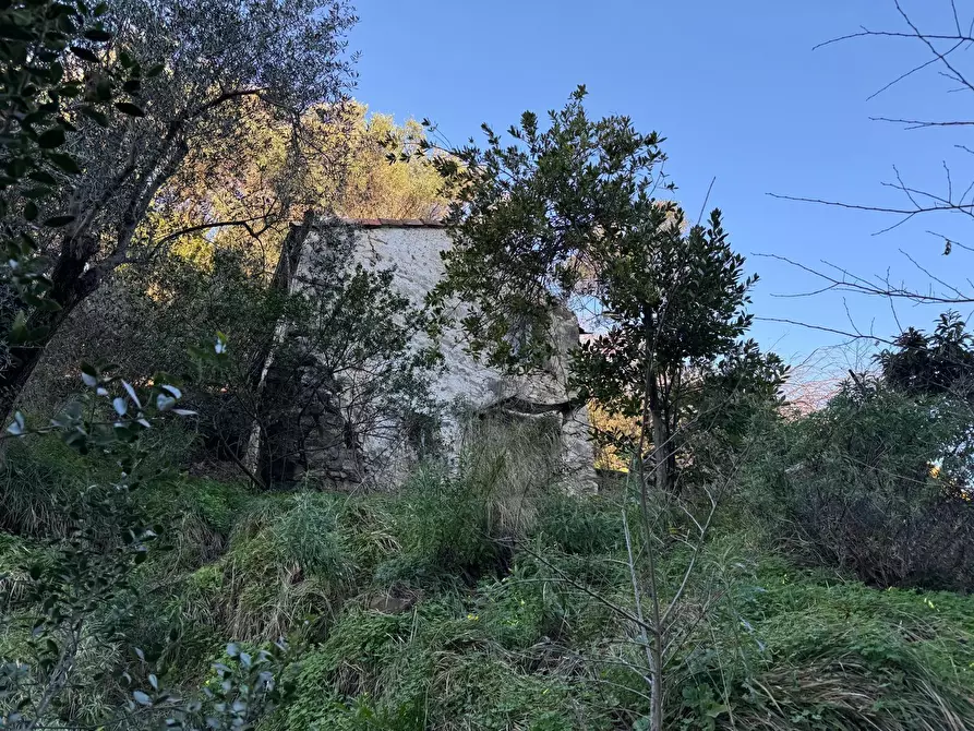 Immagine 50 di Rustico / casale in vendita  in Via Val D'Olivi 185 a San Remo