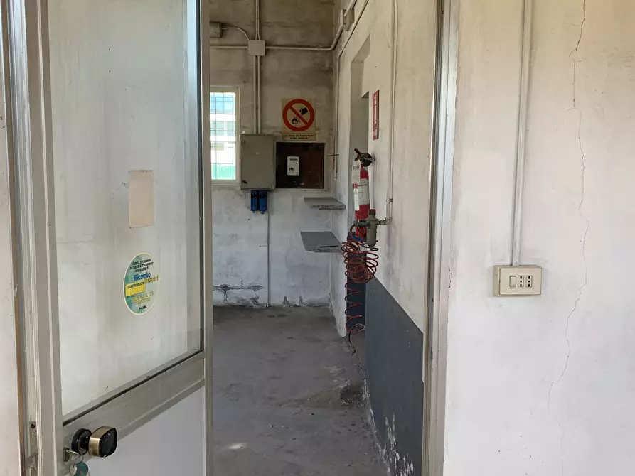 Immagine 4 di Attività artigianale in affitto  a Pietrasanta