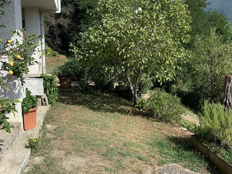 Immagine 36 di Rustico / casale in vendita  a Camaiore