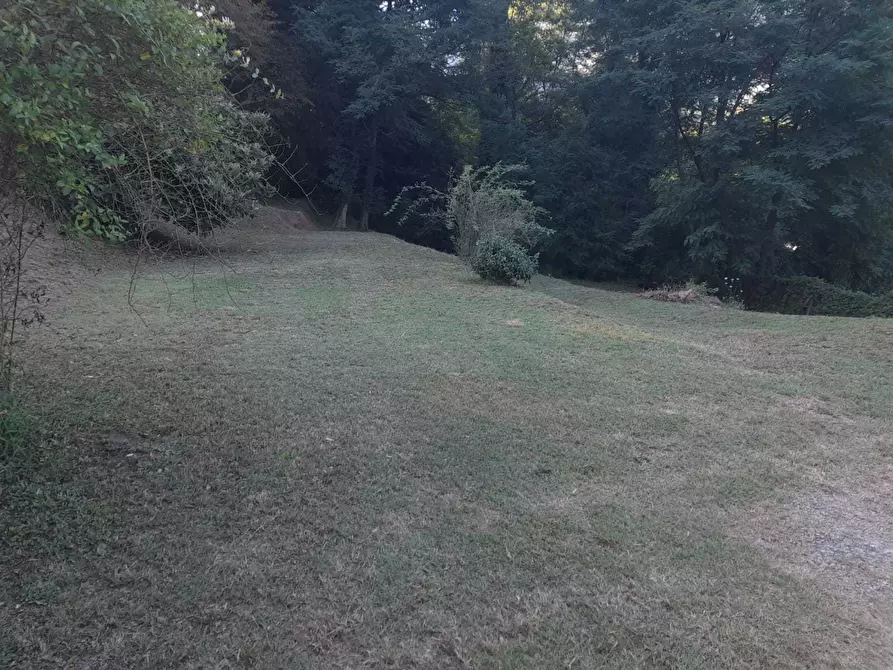 Immagine 60 di Rustico / casale in vendita  a Camaiore