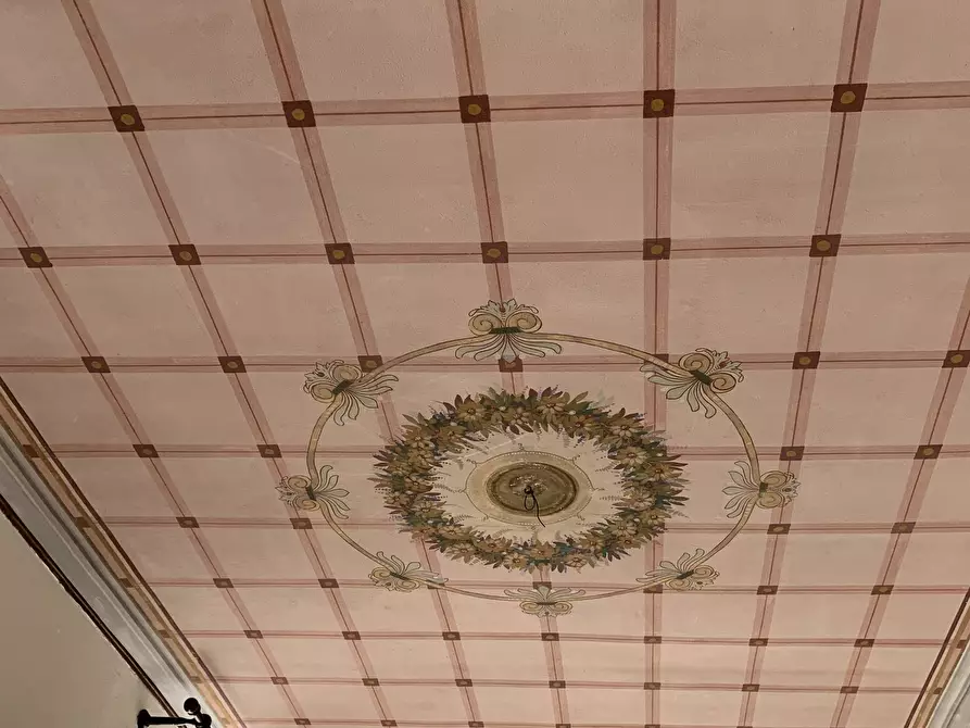 Immagine 13 di Bilocale in affitto  a Pietrasanta