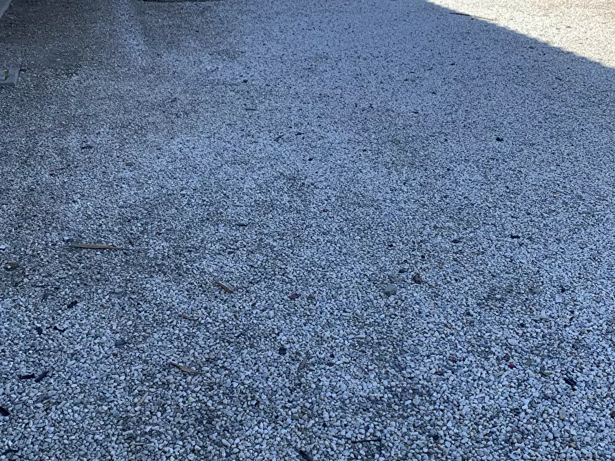 Immagine 16 di Attività artigianale in affitto  a Pietrasanta