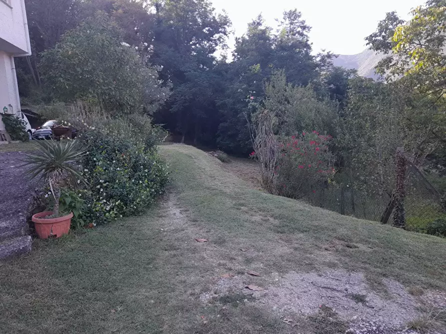 Immagine 62 di Rustico / casale in vendita  a Camaiore