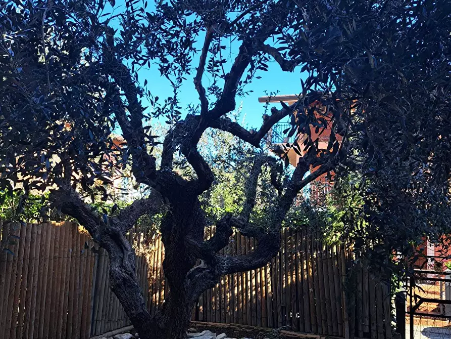 Immagine 39 di Villa in vendita  in Via del Mare 200 a Lanciano