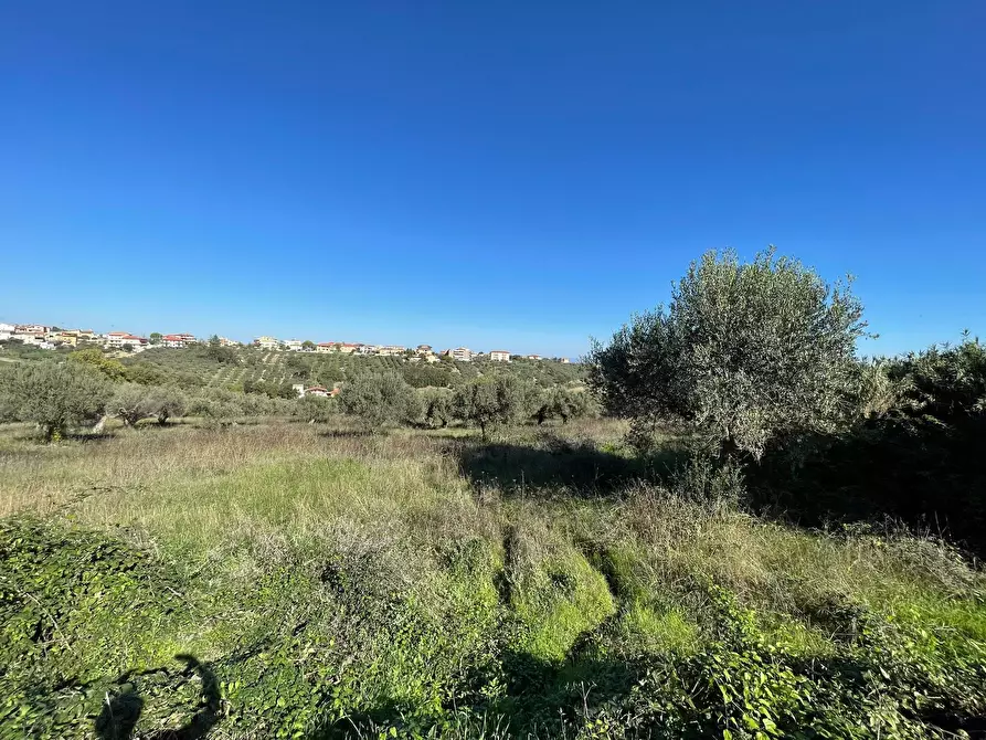 Immagine 18 di Casa indipendente in vendita  in contrada ranco 55 a Paglieta