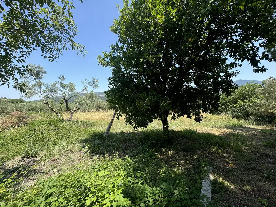 Immagine 46 di Casa semindipendente in vendita  in Via Lascianna 9 a Roccascalegna