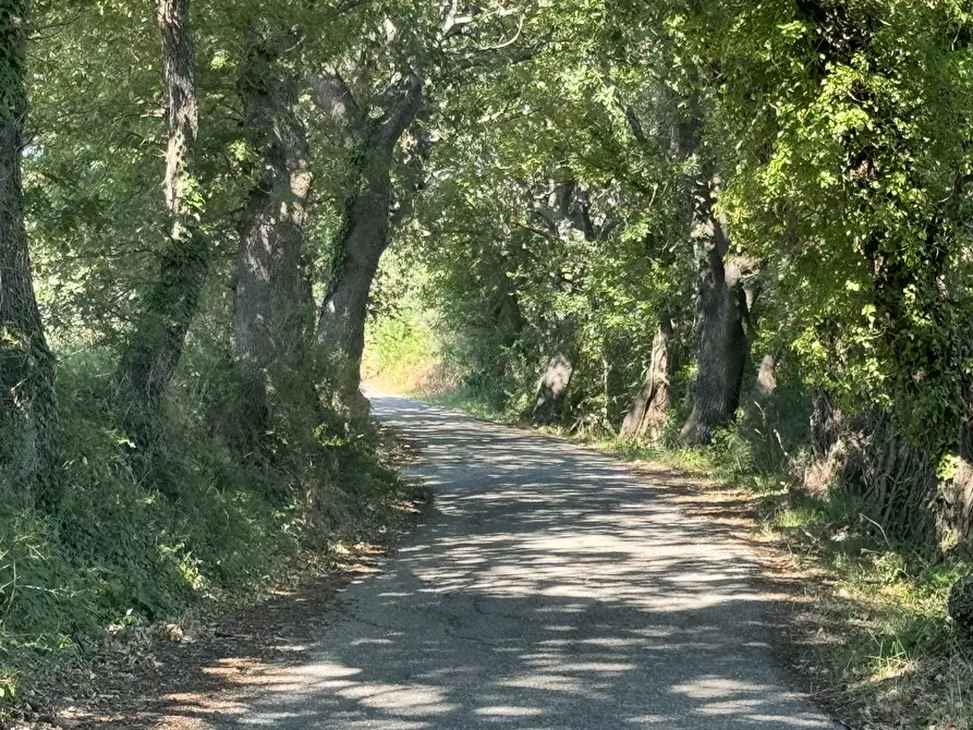 Immagine 66 di Casa indipendente in vendita  a Gessopalena