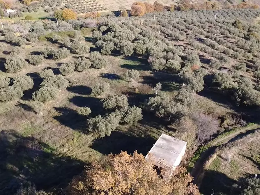 Immagine 4 di Casa indipendente in vendita  in contrada ranco 55 a Paglieta