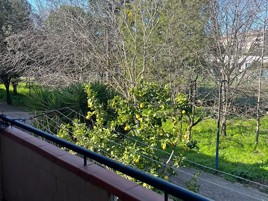 Immagine 15 di Pentalocale in vendita  in Via Giuseppe Spataro 7 a Lanciano