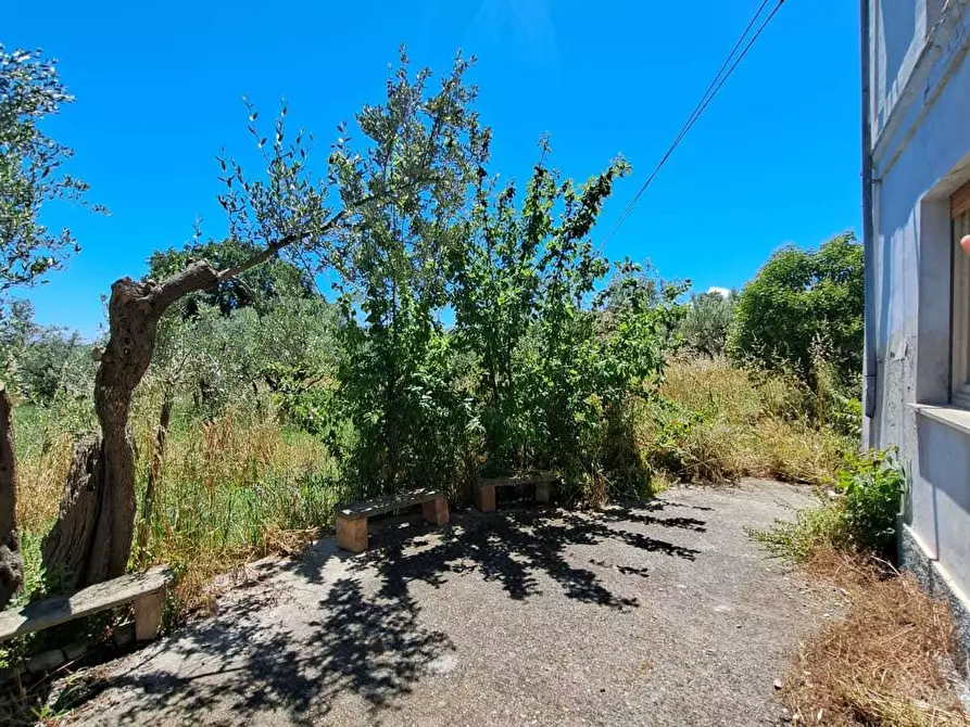 Immagine 14 di Rustico / casale in vendita  in STRADA P. MEDIANA 51 a Fossacesia