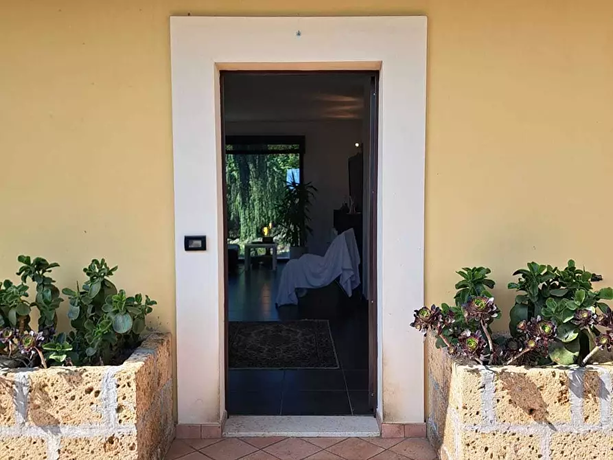 Immagine 34 di Villa in vendita  in villa andreoli a Lanciano
