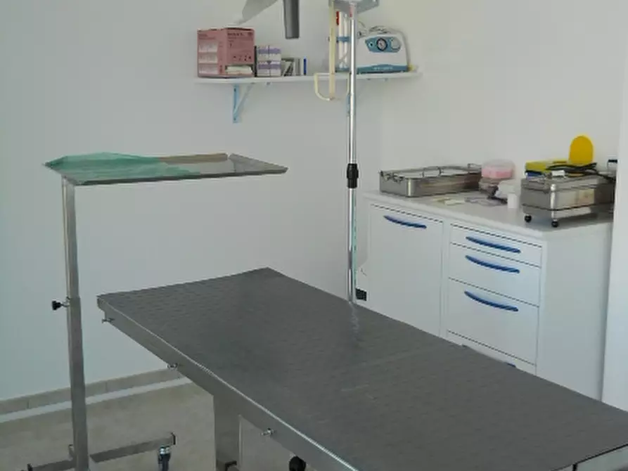 Immagine 16 di Locale commerciale in vendita  in Via Ferdinando Galliani 41B a Altino