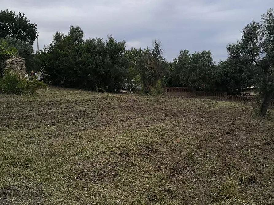 Immagine 12 di Terreno edificabile in vendita  in Via Puglianna a Treglio