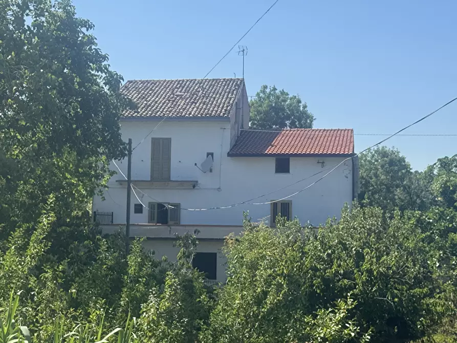 Immagine 1 di Casa indipendente in vendita  in torricchio a Tornareccio