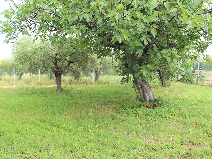 Immagine 40 di Villa in vendita  in Contrada Torre Sansone 69 a Lanciano