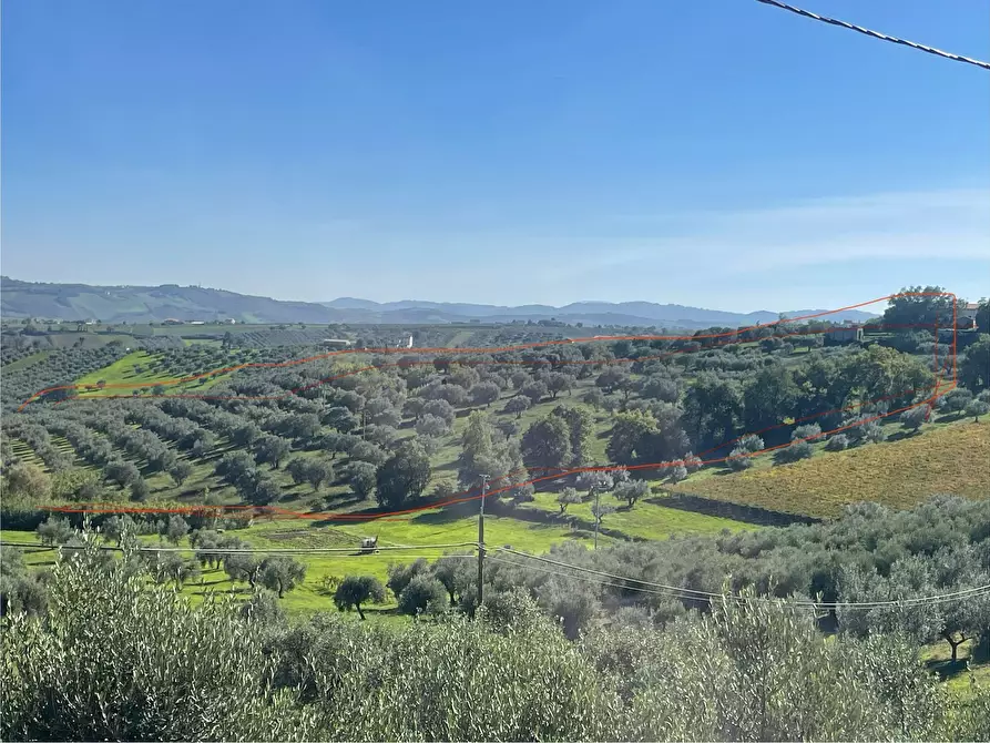Immagine 11 di Casa indipendente in vendita  in contrada ranco 55 a Paglieta