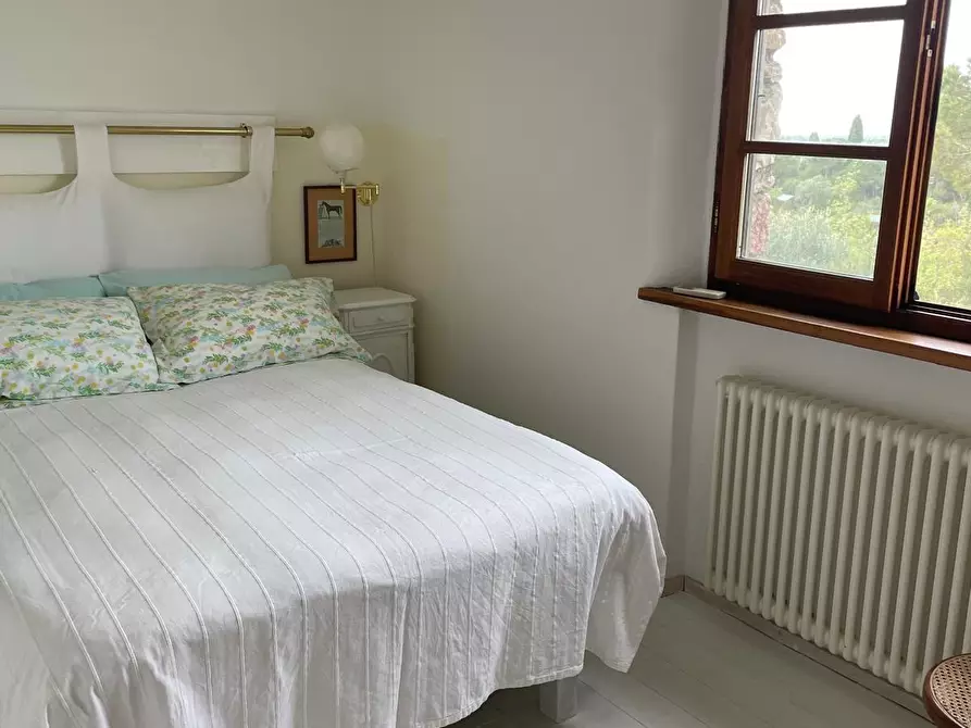 Immagine 26 di Rustico / casale in vendita  in Via della Sassetta a Castagneto Carducci