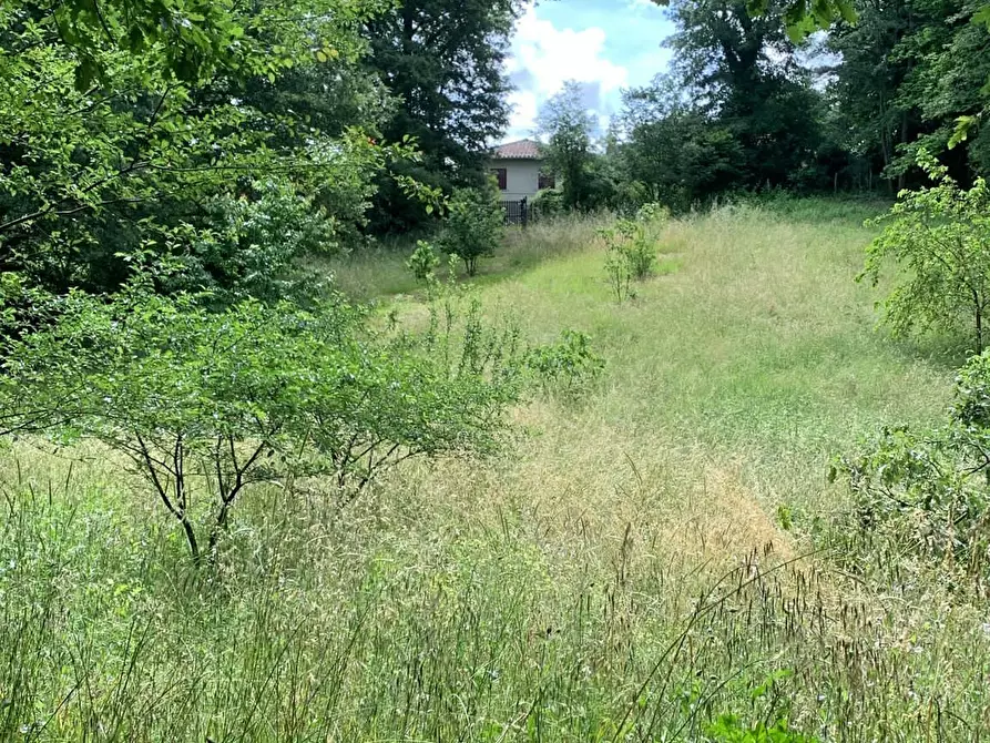 Immagine 6 di Terreno agricolo in vendita  in Via delle Querce a Manziana
