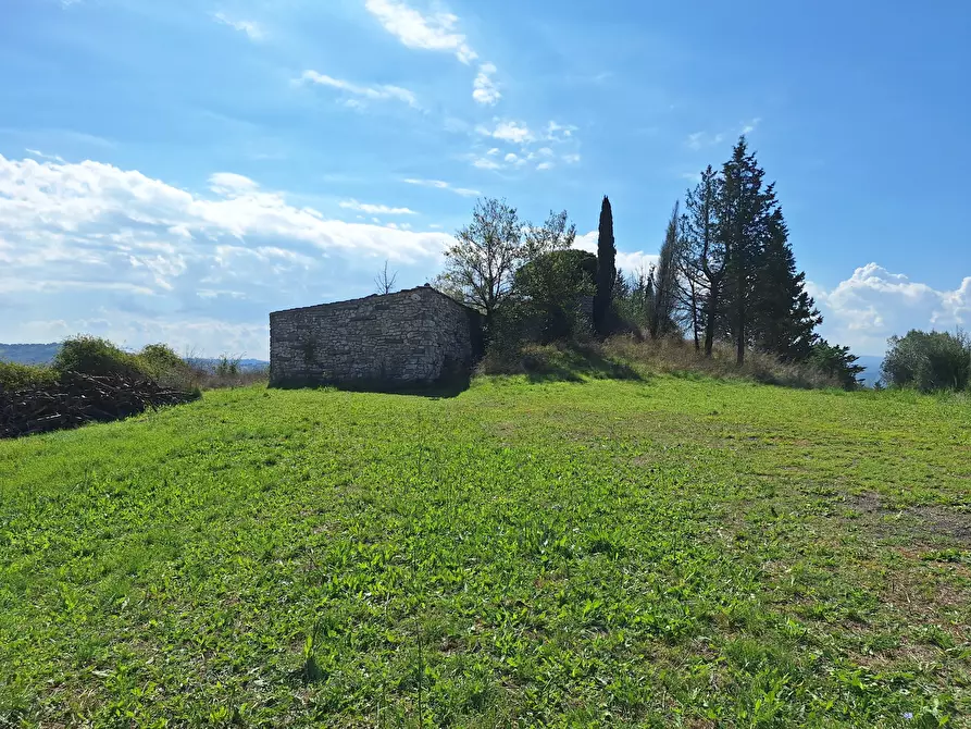 Immagine 73 di Rustico / casale in vendita  in Vocabolo Pupiglian 1 a Guardea