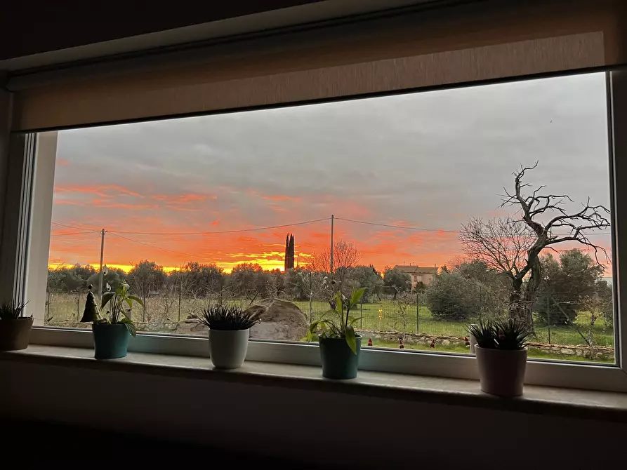 Immagine 18 di Villa in affitto  in Strada San Caterina 27 a Viterbo