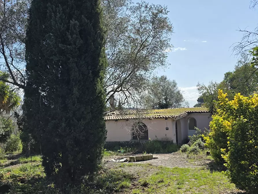 Immagine 4 di Terreno agricolo in vendita  in Via Enrico Fermi 13 a Morlupo