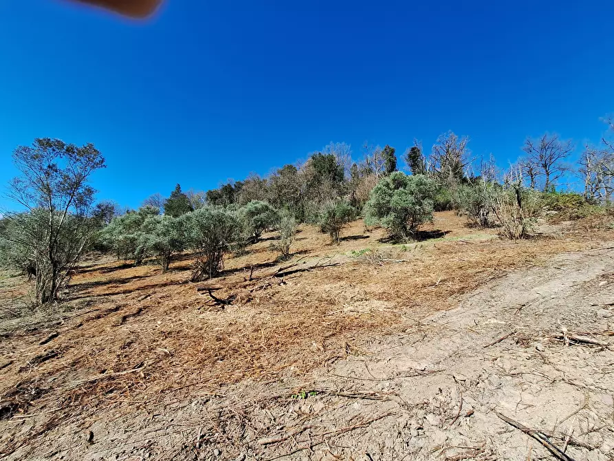 Immagine 11 di Palazzo in vendita  in via delle grotte a Morlupo